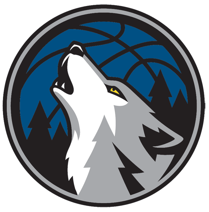 Minnesota Timberwolves 2008-2017 Alternate Logo iron on transfers for T-shirts version 2